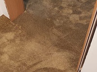 Укладка ковролина 80м2